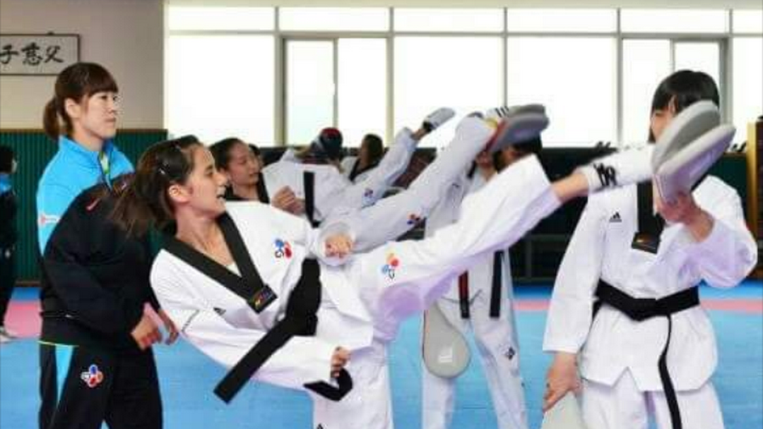 Taekwondo Coaching Classes