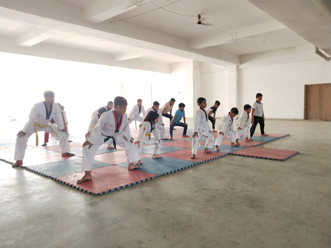 Taekwondo Coaching Classes