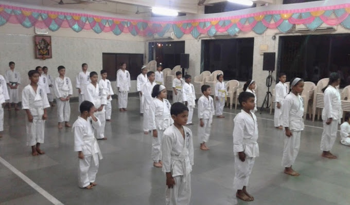 The Karate Academy