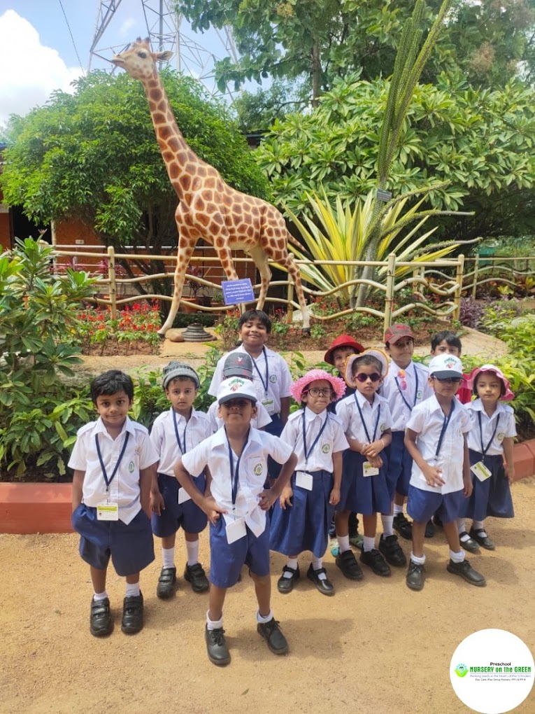 Nursery on the green Preschool 