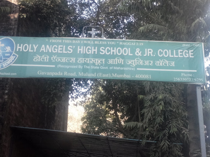 Holy Angels High School